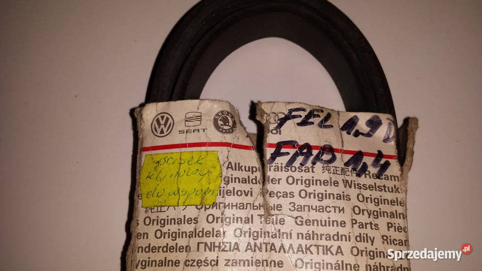 Pasek klinowy wielorowkowy wspomagania Fabia 14 Toruń