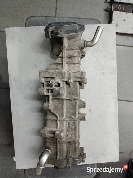 Chłodnica spalin Iveco 30 504317815 504317810 osobowe Suchedniów sprzedam