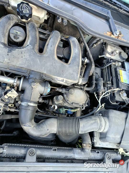 Silnik Peugeot 206 Partner 19D sprzedam