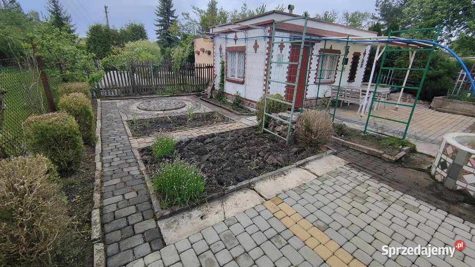 Ogródek działkowy PZD ROD Stokrotka Nowy Bytom Ruda Śląska
