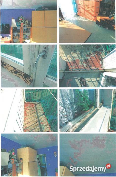 316 w nieruchomości w Nowej Soli Witosa 267 sprzedam