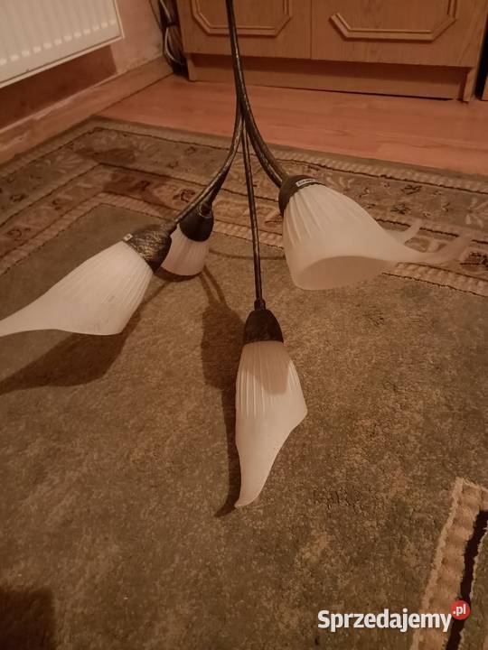 Lampa sufitowa metalszkło kujawsko-pomorskie Toruń