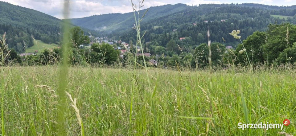 Widokowa działka odkryj spokój w Beskidach Brenna