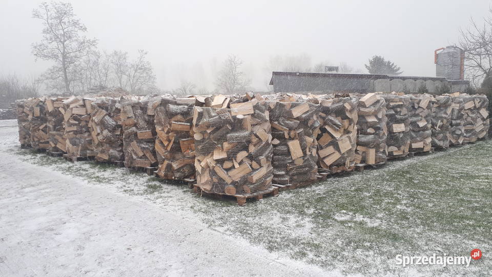 drewno kominkowe Buk