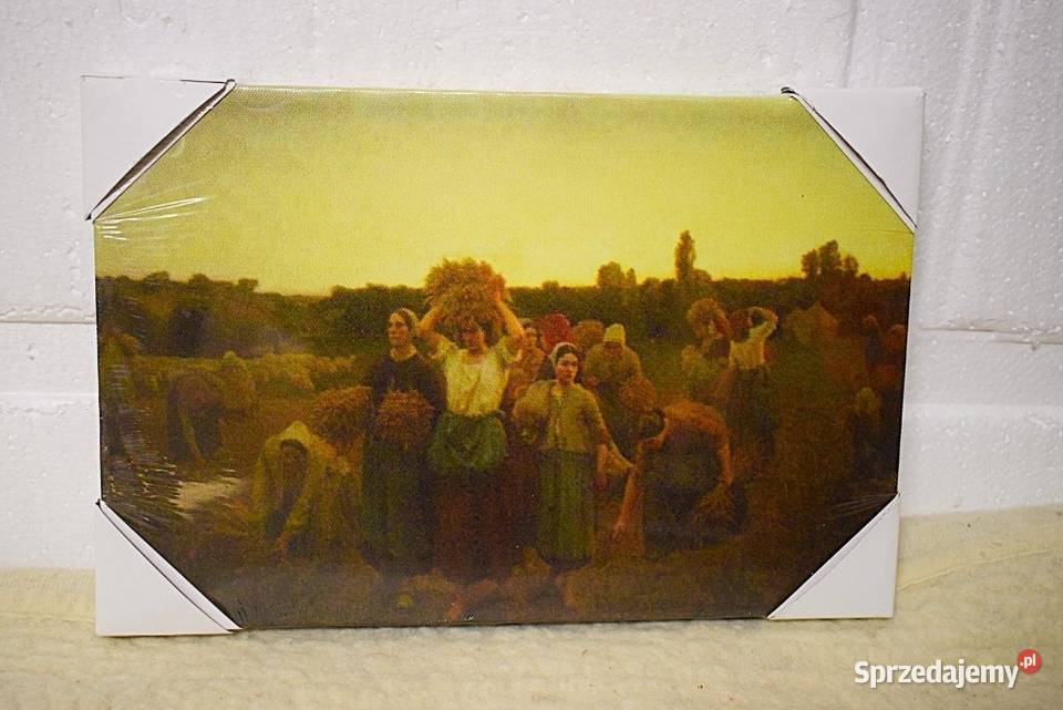Edouard Manet Gra w krykieta 1873 reprodukcja Chełmno sprzedam