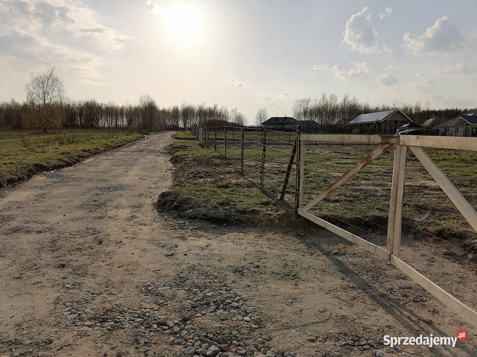 ogrodzenia tymczasowe ogrodzenia z siatki leśnej ocynk Zgierz