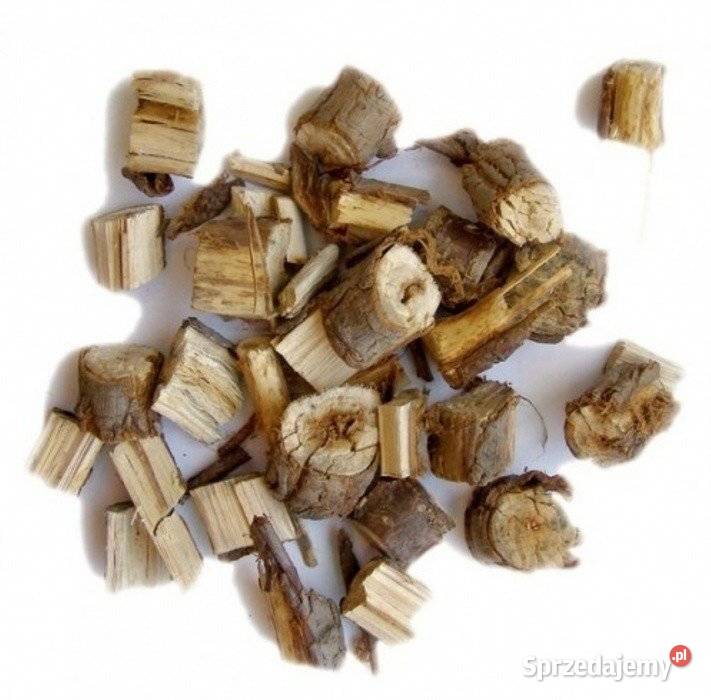 HECHT 6285 XL ROZDRABNIACZ ELEKTRYCZNY ZĘBATKOWY Opalenica