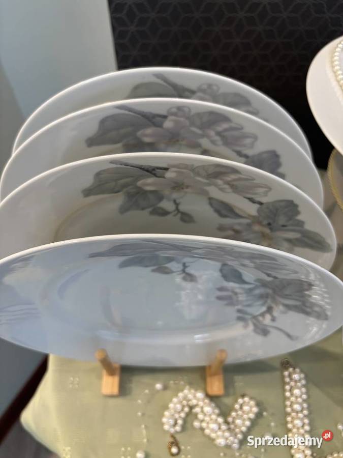 Talerze Rosenthal Pozostałe Sędziejowice