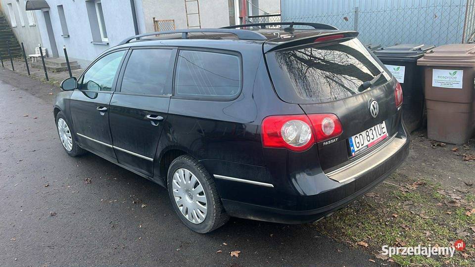 Passat b6 Passat Pszczółki