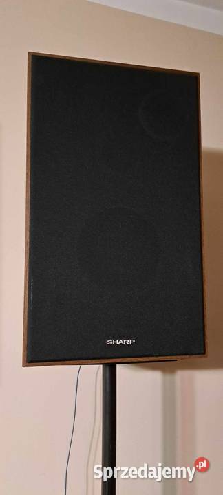 Kolumny vintage Sharp CP1122