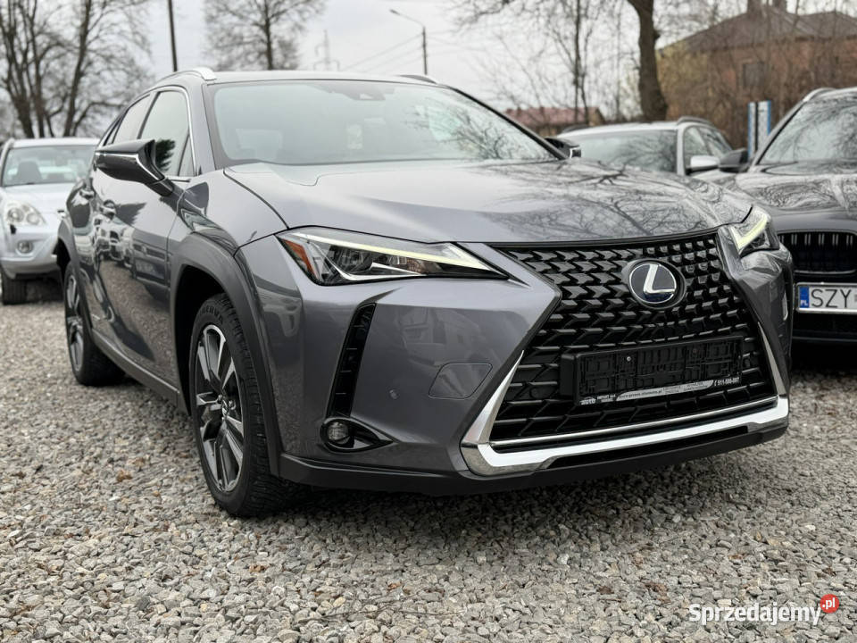 Lexus UX 250 Hybrid Ful LED Premium szary śląskie Łodygowice
