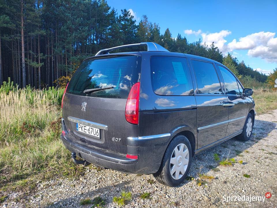 Peugeot 807 wygodny przestronny i niezawodny benzyna+LPG wielkopolskie