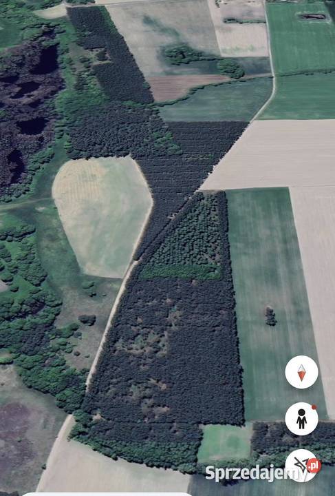 SPRZEDAM LAS Pyszkowo