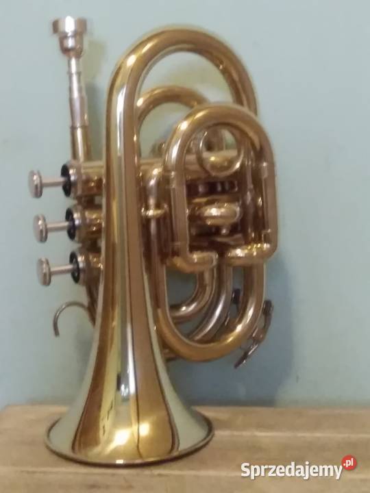 Trąbka kieszonkowa Kraków