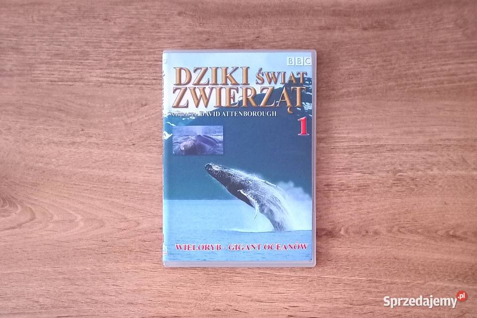 Edukacja Lew Orka i inne seria BBC Dziki świat DVD Filmy sprzedam