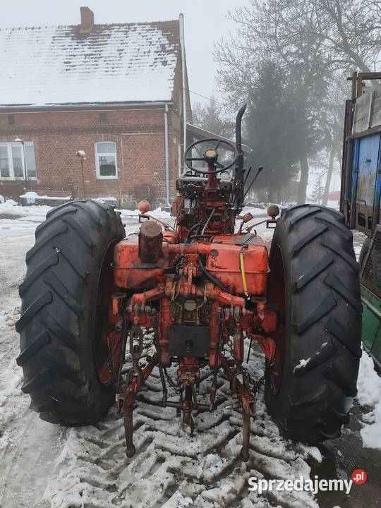 MTZ 82 kujawsko-pomorskie Jabłonowo Pomorskie