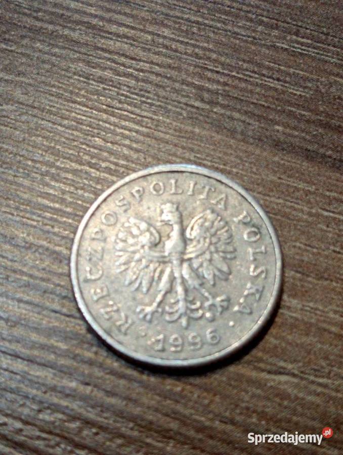 Sprzedam 20 gr 1996 r Chełm sprzedam