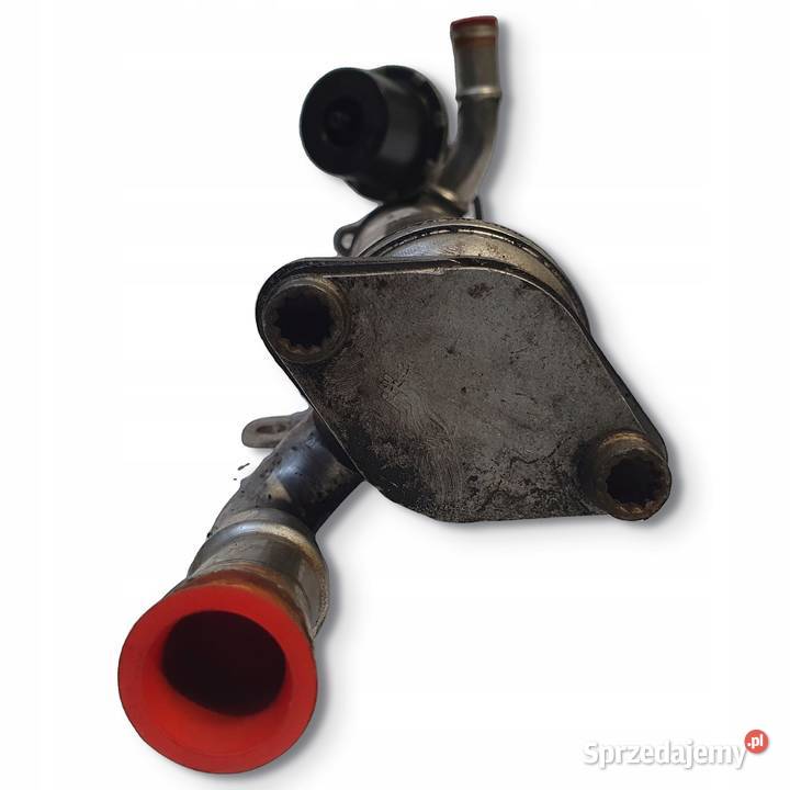 CHŁODNICA SPALIN VW Passat B6 Audi A3 8P 20 TDI lubelskie