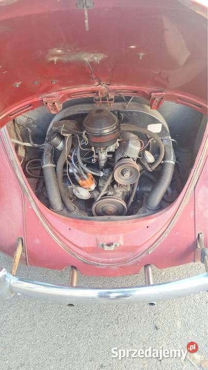 VW Garbus 1300 Rok produkcji 1966 Wrocław