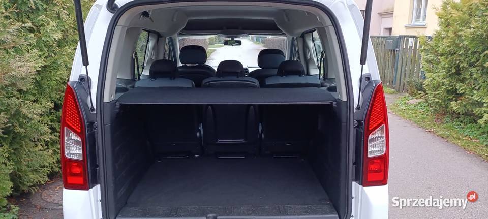 100 Bezwypadkowy oryginalny przebieg Puławy