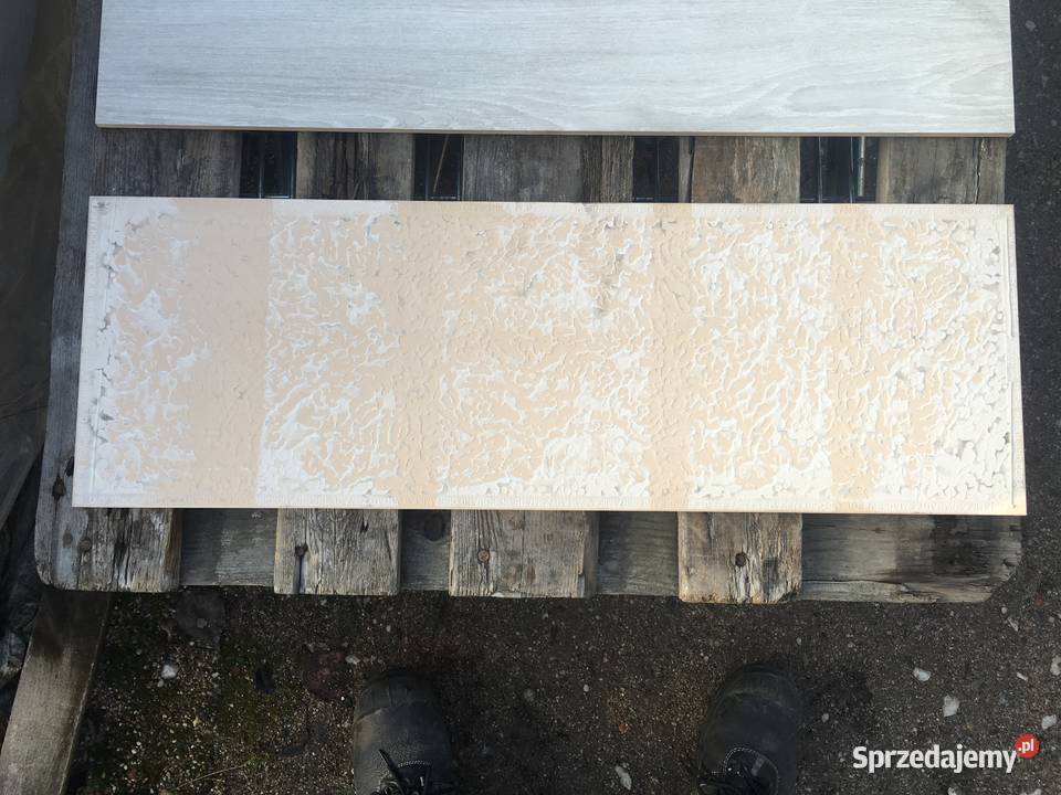 Glazura płytka ścienna elia crema 25x75 firmy mazowieckie