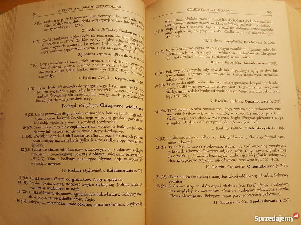 KSIĄŻKA Klucz do oznaczania owadów N Książki naukowe i popularnonaukowe Złotniki