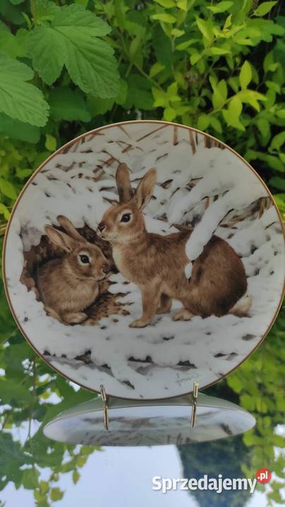 Kolekcjonerski talerz porcelanowy niedźwiadki Antyki, Sztuka, Kolekcje Pabianice
