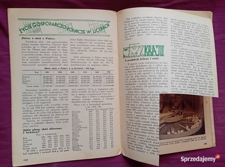 Miesięcznik Plon 4 kwiecień 1937 r IV Antykwariat Koźminek sprzedam