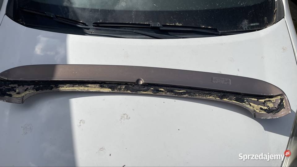 Irmscher Opel Zafira A osobowe