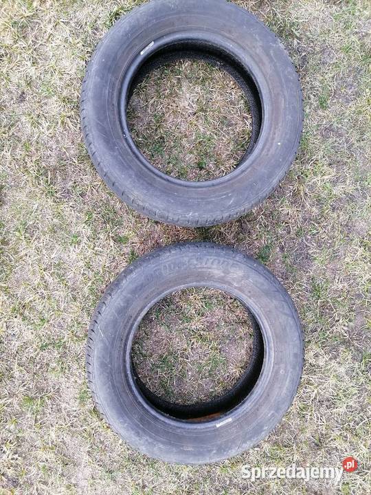 Opony 2x Bridgestone Ecopia 1756514R Radom