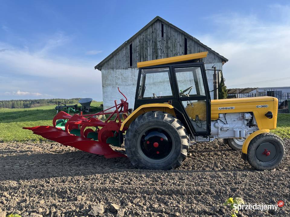Sprzedam Ursus Zetor 4011 Grabowo sprzedam