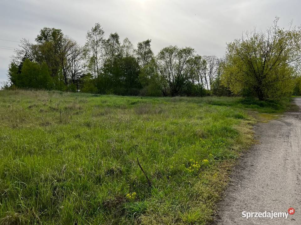 Działka drodze asfaltowej 6400m2 Kolsko