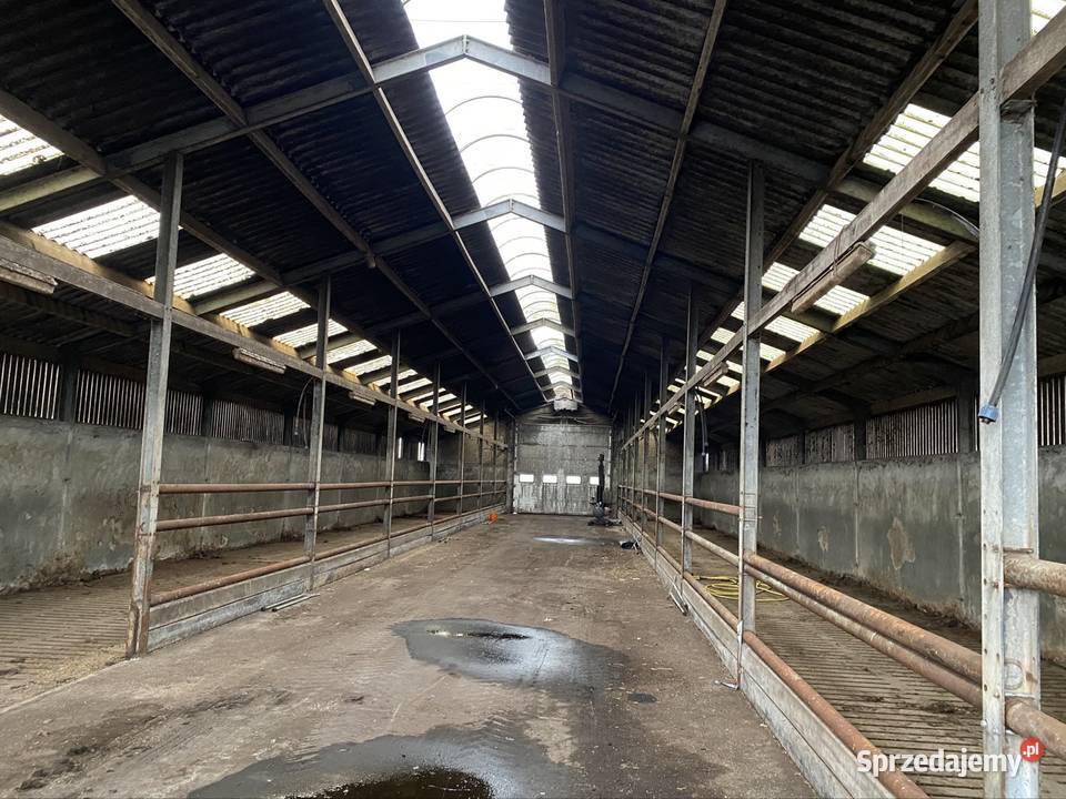 Hala stalowa obora