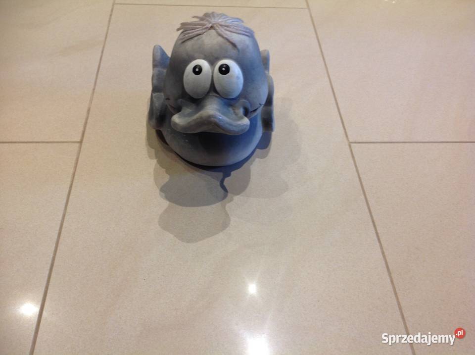 Kaczka Szara Nowa Sól