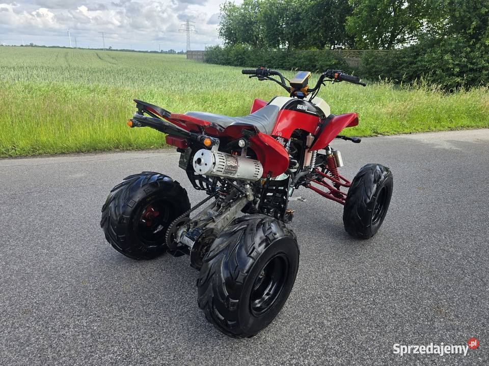 Quad Bashan 200250cc Duża Rama ciecz koła 10 kujawsko-pomorskie Kruszwica