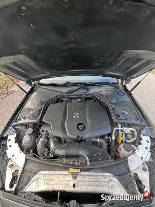 Sprzedam Krzywa sprzedam