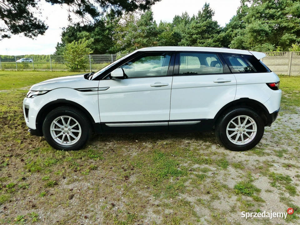 Land Rover Range Rover Evoque 22 TD4 HSE wielkopolskie Piła