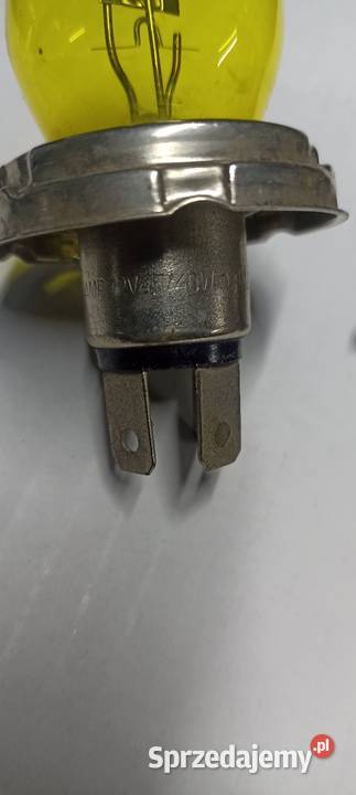 Żarówki R2 białe 3 osobowe Grójec