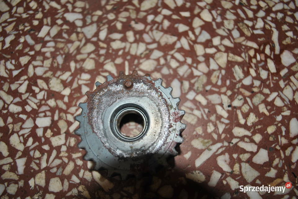 Koło zębate paska rozrządu na wale korbowym AUDI Poręba