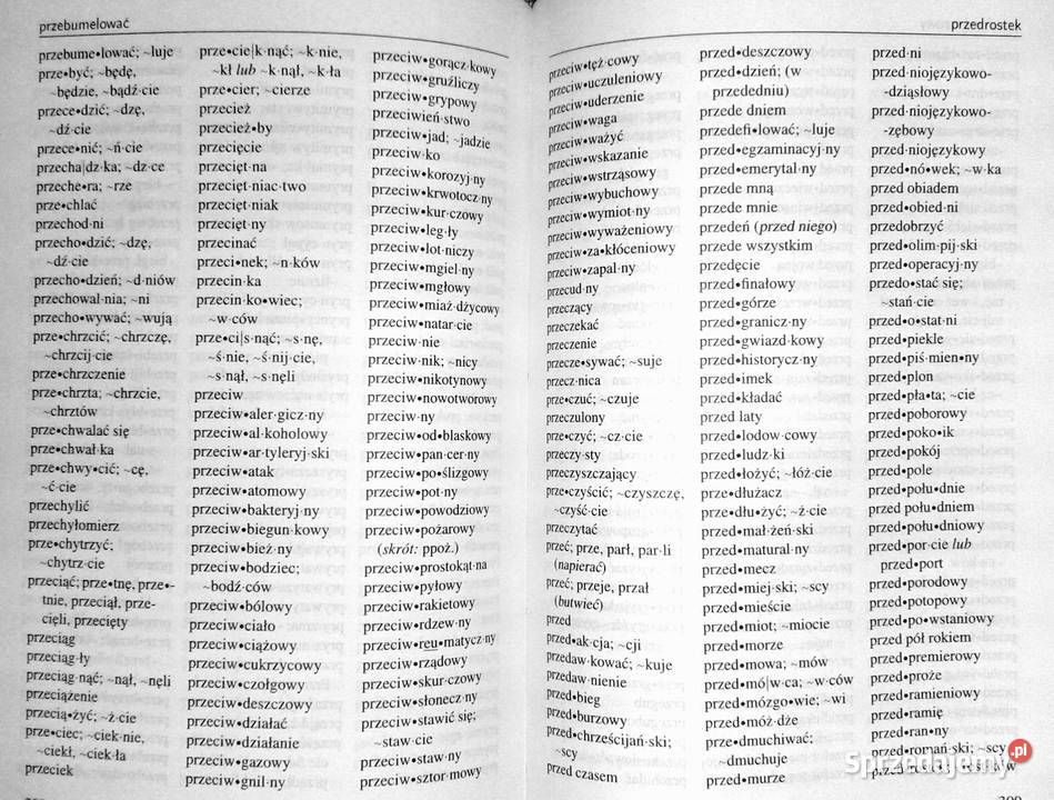 Podręczny słownik ortograficzny Zygmunt Saloni Chełm sprzedam