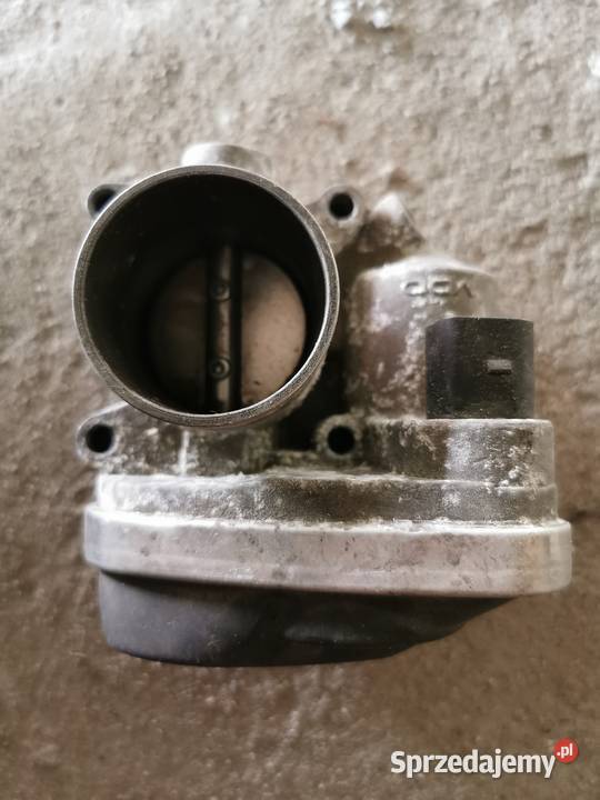 PRZEPUSTNICA POLO podkarpackie