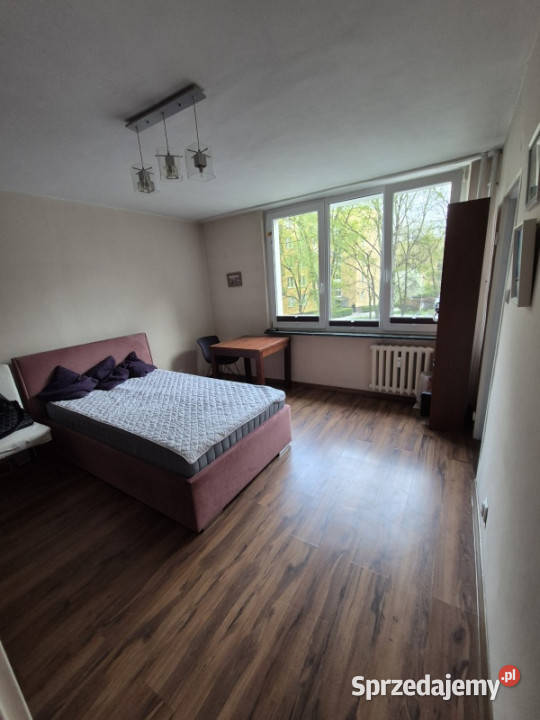 Saska Kępa Kawalerka do wynajęcia mazowieckie sprzedam