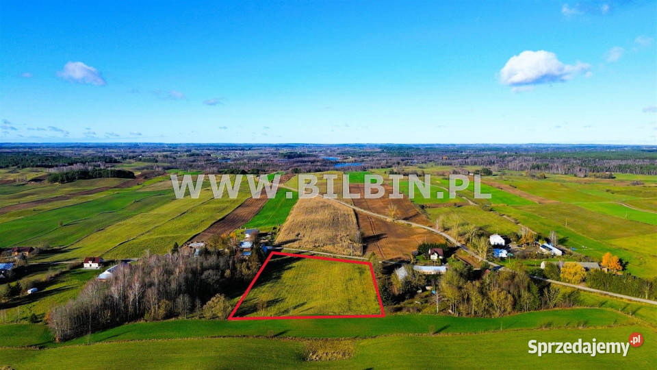Do sprzedaży grunt Krasnopol 14198m2 prąd Sprzedaż