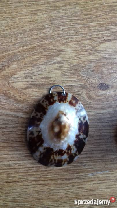 Muszla wisiorek Pozostałe Iława