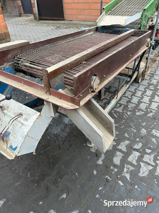 Sortownik do ziemniaków sprzedam