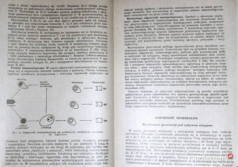 Alergologia internistów Bogdan Romański Chełm