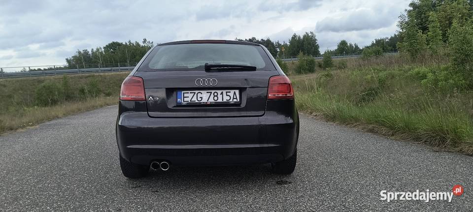 Audi a3 8p 19TDI 2008 FL 3D manualna Niesułków-Kolonia