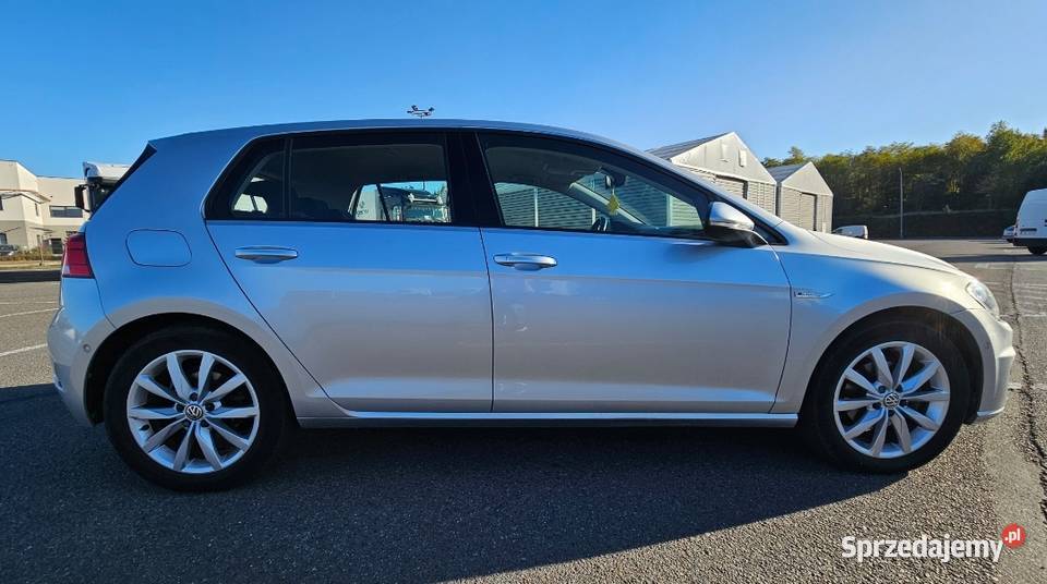 Vw E GOLF Elektryk JEDYNY TAKI Bogata Wersja