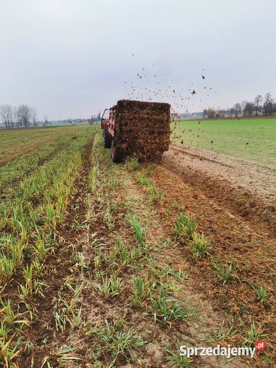 Rozrzutnik Obornika Tandem Brimont nieuszkodzony Błonice