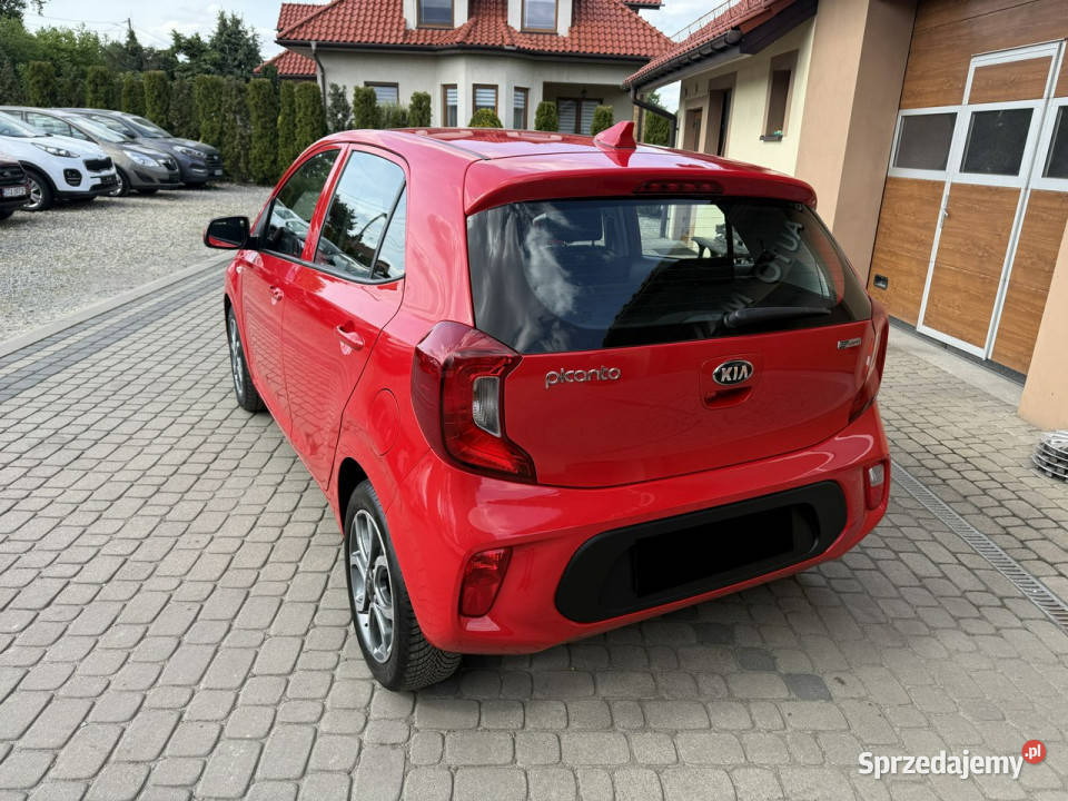 Kia Picanto 10 67 Klimatyzacja Kamera CarPlay manualna Orzech